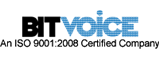 bitvoice