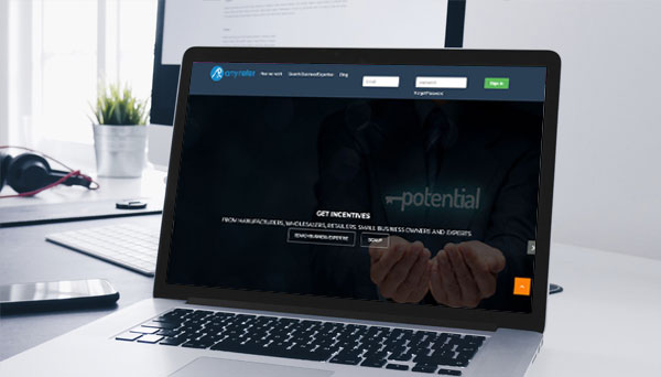 dynamic website development